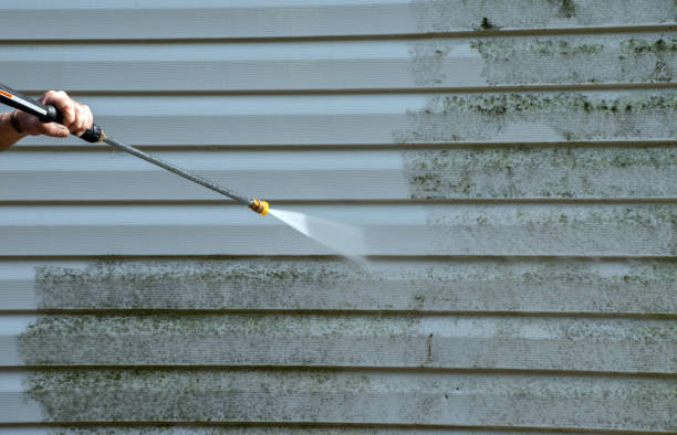 Best Professional Mold Removal  in Salmon Creek, WA