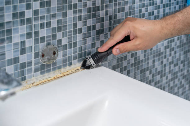 Best Fast Mold Removal  in Salmon Creek, WA